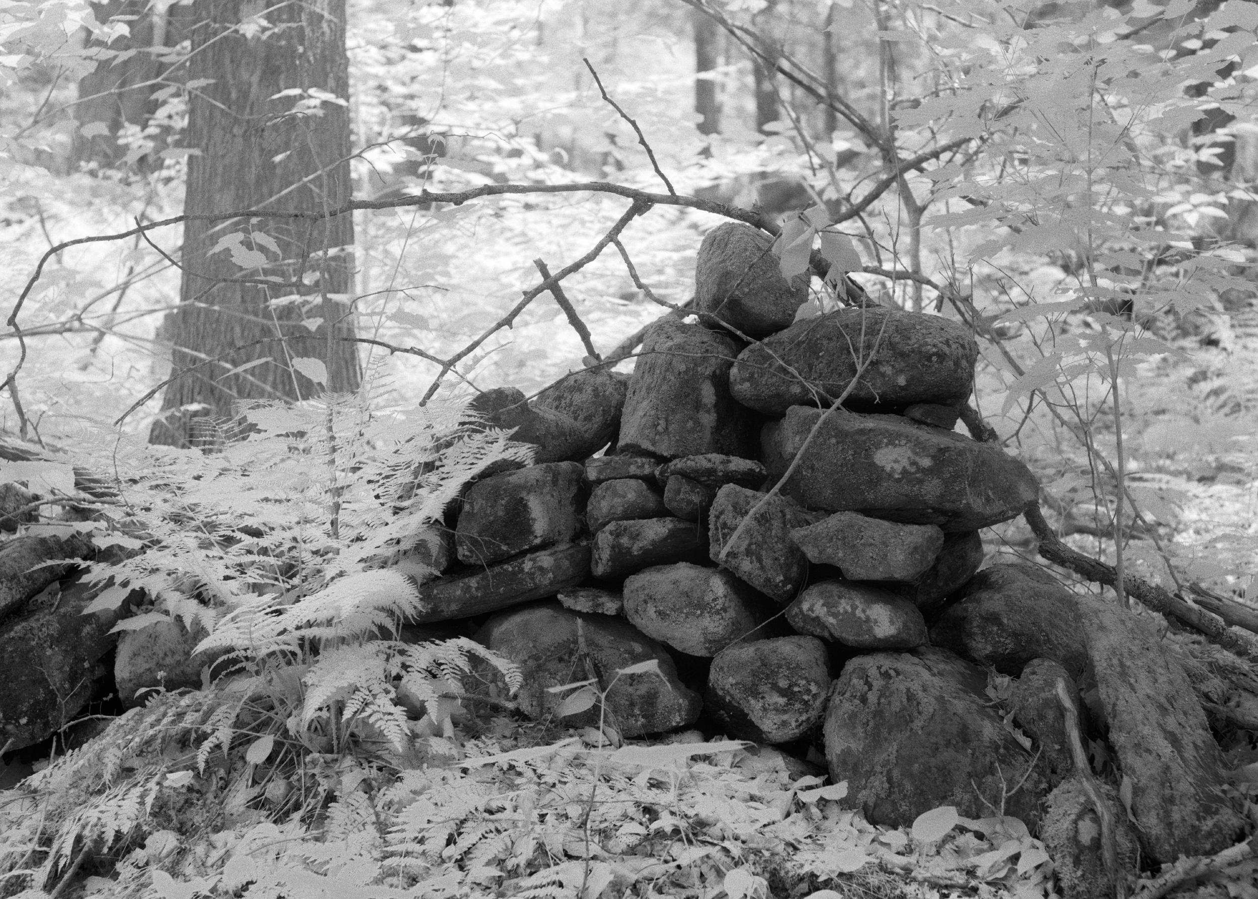 Stone Wall | New Hampshire