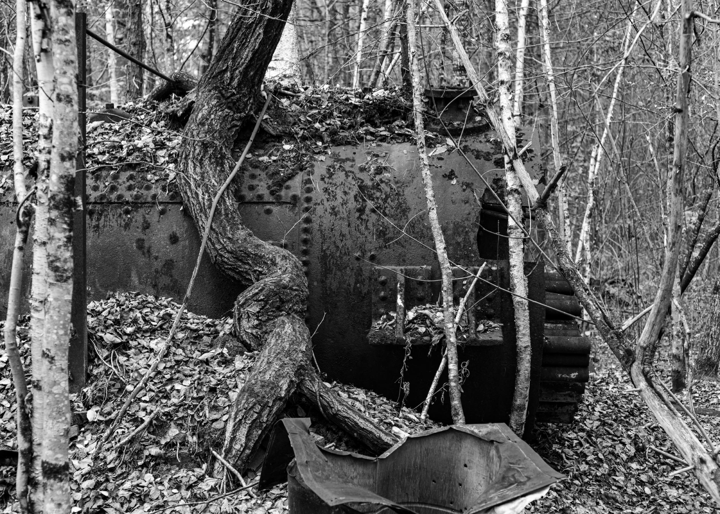 Boiler with Tree | Redstone, NH