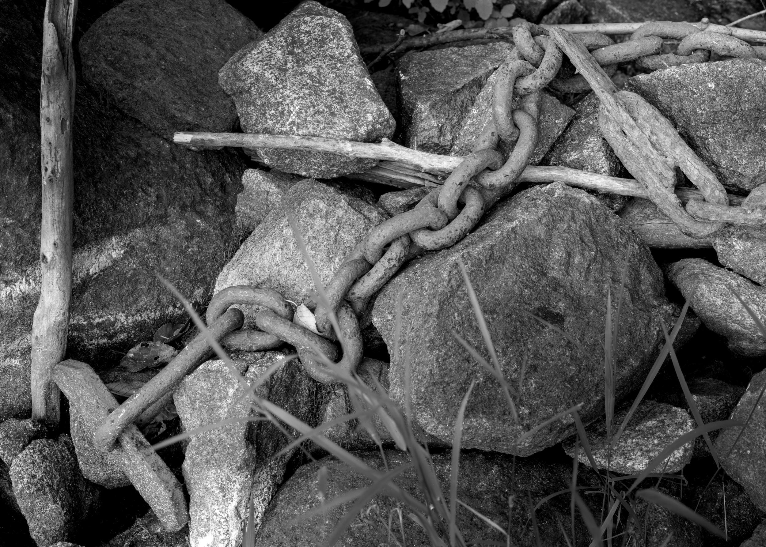 Boom Chain | Lake Umbagog, NH